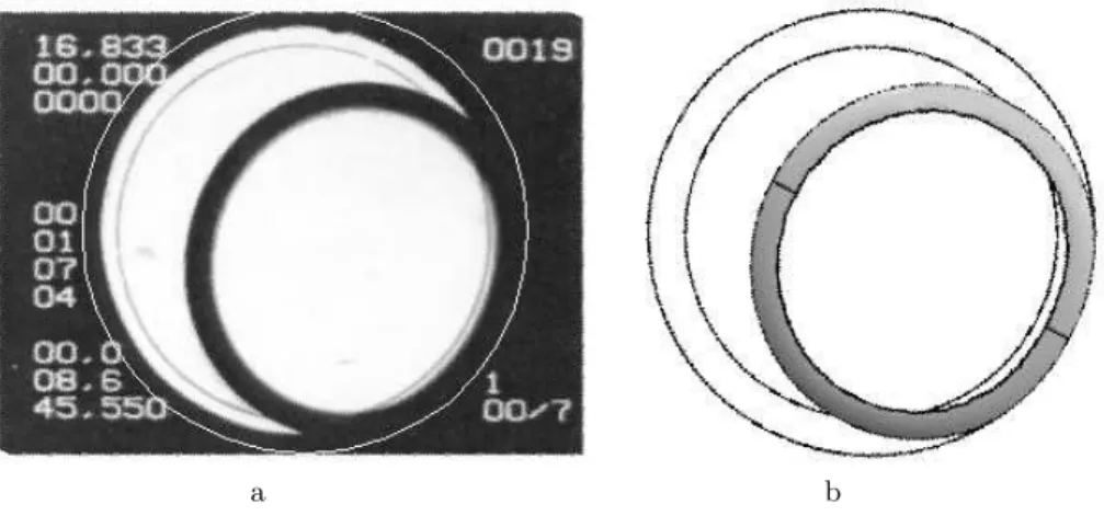 FIG. 2: The experimental image of cell 10 at room temperature (a) and the equilibrium bubble shape simulated for the tilt angle of 0.46 ◦ (b)