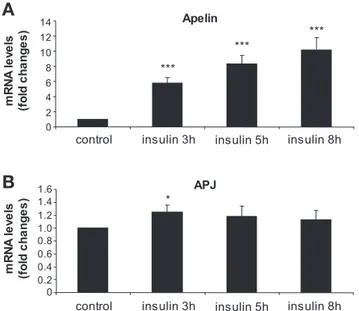 Fig. 7. Human plasma apelin concentrations in control and diabetic patients.