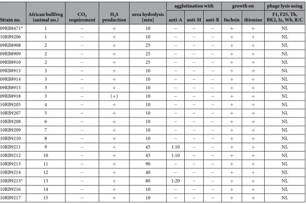 Table 1.   Classical phenotypic characterization of the bullfrog isolates (*strains 09RB8471 and 10RB9215  were first described by Eisenberg and colleagues 19 )