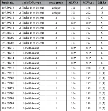 Table 2.   Summary of molecular typing applied to all 21 bullfrog isolates (*no detectable Bruce11  amplification product)