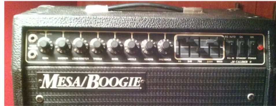 Figure 1: a typical, single channel, guitar amplifier. 