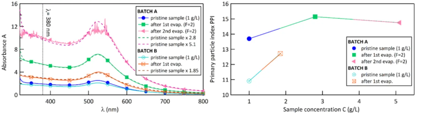 Figure 4 UV-Vis absorbance spectra (left) and calculated primary particle index (PPI) (right)  of (A) Batch A: before any evaporation (pristine sample) in filled dark blue circles; after a 1 st evaporation in filled green squares; after a 2 nd  evaporation