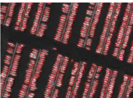 Figure 9: Extraction results favoring aligned ellipses having a particular direction: 523 ellipses (β = 1000, γ d = 27.56, γ al = 9.18, s = 0.3, d 0 = 6).
