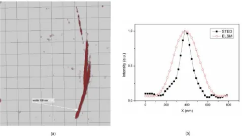 Fig. 11. Measurement of a subsurface fracture width on an isolated fracture (Media 1) at about  2.5 µm below the surface (a) – X-profile of crack width estimated in ELSM (red circles) and in  STED mode (black rectangles) at the pointed location (arrow in (