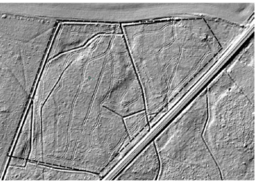 Figure 1 Example of hill-shade visualization of Lidar DEM with 40 cm resolution where skid tracks can be  seen as parallel lines within a 90 year old oak stand