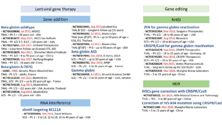 Figure 2: Clinical trials of gene therapy for -hemoglobinopathies APHP: Assistance Publique – Hôpitaux de Paris; MSKCC: Memorial  Sloan Kettering Cancer Center ; CRISPR/Cas9: Clustered Regularly Interspaced Short Palindromic Repeats / CRISPR Associated pr