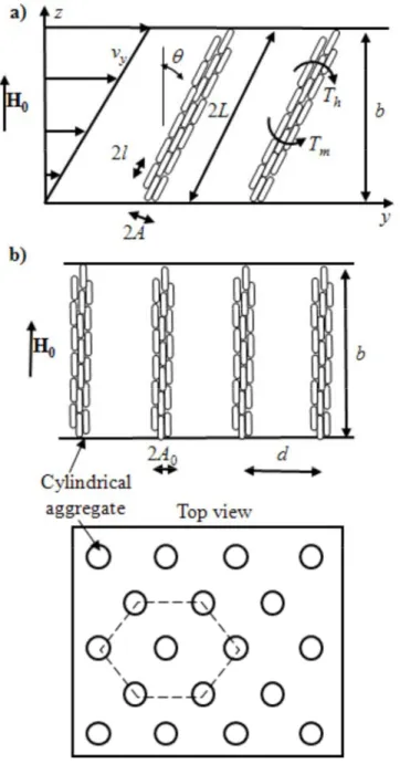 Fig. 2. Aggregates confined by the walls. (a) – shear flow with confined aggregates. The aggregate length, 2L is  bounded by the gap width, b