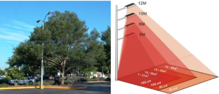 Fig. 2: The tree conflicts with the street light and jeopardizes the model [24]