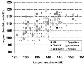 Fig. 10 Diagramme bivarié de la largeur maximale du crâne en fonction de la largeur bi-astérique / Bivariate plot of the maximal breadth (Eu-Eu) of the skull relative to the bi-asteric breadth (Ast-Ast) Légende : ND1 = Neve David 1 ; EpipalAno = hommes mod