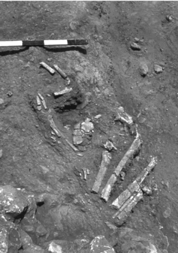 Fig. 6 Schématisation de la sépulture Neve David 1. Les pointillés différencient les parties manquantes du squelette