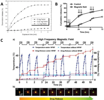 Figure 5.  Examples of DOX cumulative release profile under AMF from vesicular or hollow shell  structures of  different  types:  A