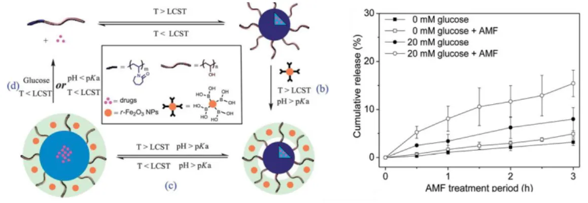 Figure 6. Scheme of the assembly of multi-responsive glucose-, pH- and thermo-sensitive magnetic crosslinked  nanogels