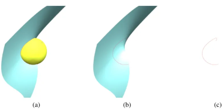 Figure 2: Intersection of the sphere S 1 and the surface S 2
