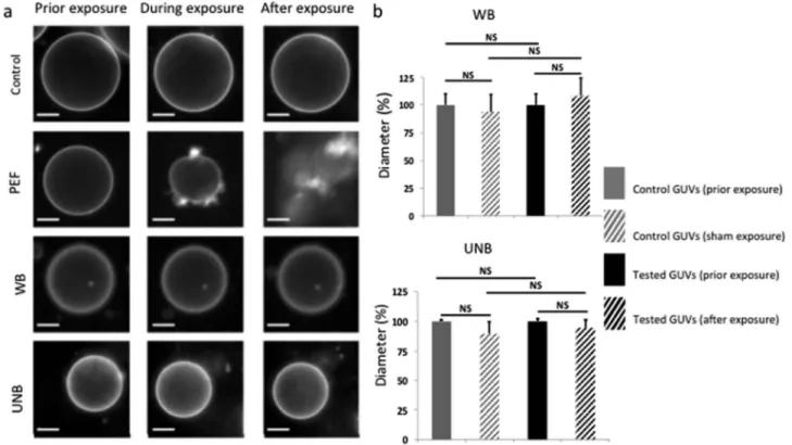 Fig. 3 E ﬀ ects of the electric ﬁ eld exposure on GUVs assessed within the applicator (a) representative ﬂ uorescence microscopy micrographs of control GUVs and GUVs submitted to pulsed electric ﬁ eld (PEF) with 10 pulses of 5 ms at 1 kV cm 1 and a frequen