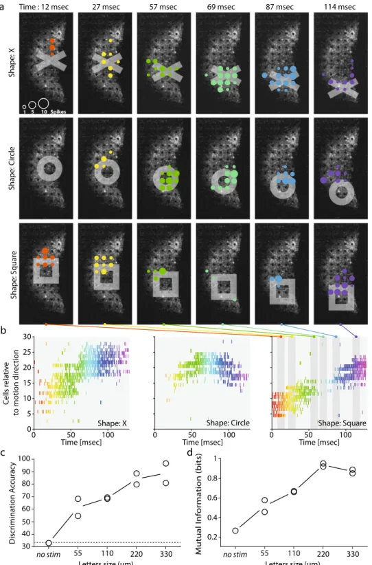 Fig. 7 The measured activity can be used to discriminate stimulation with different shapes and to predict visual acuity
