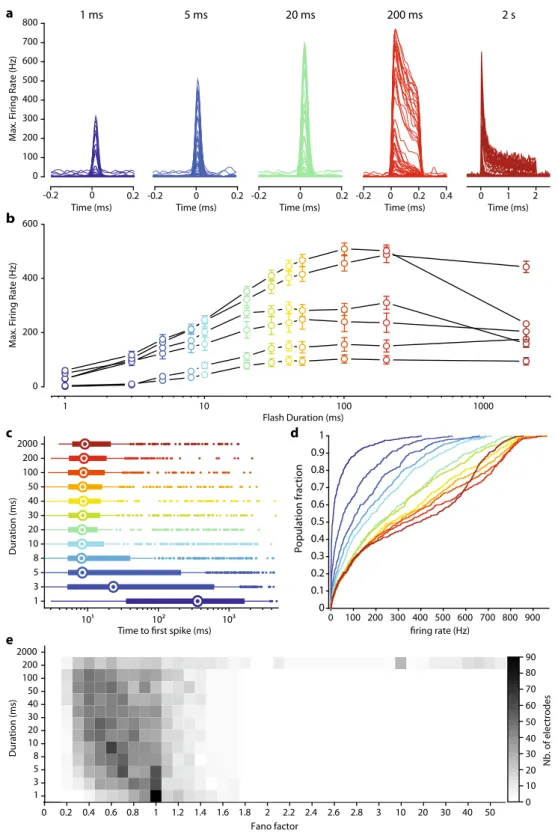 Fig. 3 Millisecond activation of ChR-tdT-expressing primate RGCs. a Spike density function for all responsive electrodes ( n = 66) of one retina treated with for 5 × 10 11 vg in response to stimuli of increasing duration (1 – 5 – 20 – 200 ms, and 2 s, left