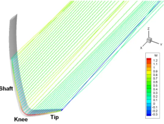 Figure 4: Illustration of the wake and vortex line on the AC45