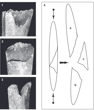 Fig. 12 – Morphologie générale des fractures présentes sur les pointes  d’Isturitz portant des fractures d’origine fonctionnelle : en dents de scie  (n o  1), en languette (n os  2 et 3)