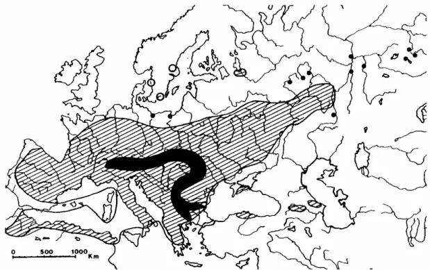 Figure 2. Distribution of Tanacetum corymbosum. The diploid (subsp. clusii, 2n=18,  in black) is found only at 1000 to 2000 m altitude in the mountains from the Alps to  the Rhodopes, while the tetraploid (subsp