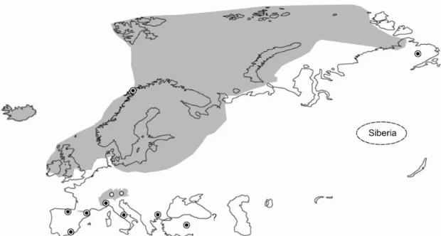 Figure 4. Map of Eurasia showing the Last Glacial Maximum (LGM; ca. 20 ky BP),  with the main identified refugia of European taxa (LGM from Svendsen et al