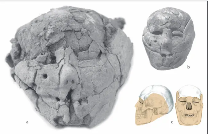 Figure 2 : a. Crâne 1 avant sa restauration : les paupières sont closes, la bouche est entrouverte, seul le nez  est modelé