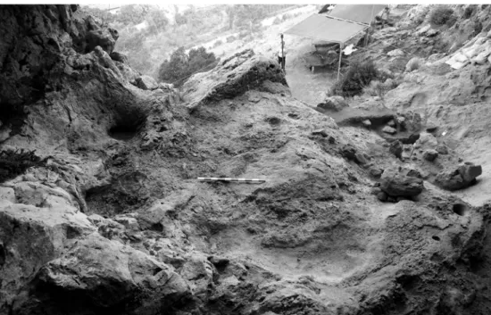 Figure 12. Locus 4 during excavation, general view towards cave entrance and terrace (west)