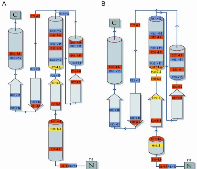 Figure S3: pKa of ionisable residues of reduced and oxidized Dtrx. Topology of the oxidized (A)  and reduced (B) Dtrx forms