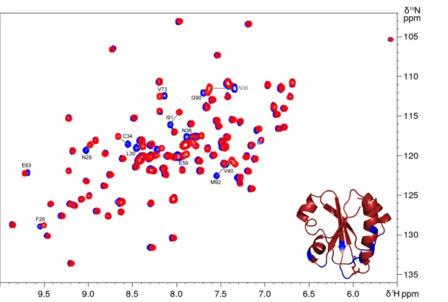Figure S4: Superimposition of  1 H, 15 N-HSQC spectra of Dtrx and DtrxH33G. The samples were  prepared  in  100  mM  potassium phosphate buffer pH 7,  50  mM NaCl