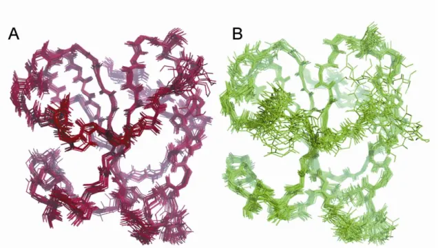 Figure S5: Solution structures of the reduced and oxidized forms of Dtrx. Superimposition of 20  representative structures of Dtrx  in the oxidized (A) and reduced (B) states