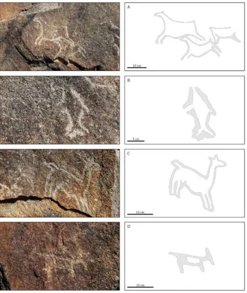 Figura 2. Detalles: (A) motivos 4 y 5; (B) motivo 6; (C) motivo 7; (D) motivo 3.