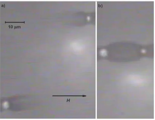 Figure 5. Same as Figure 2, but for nickel particles dispersed in a non-centrifuged ferrofluid.