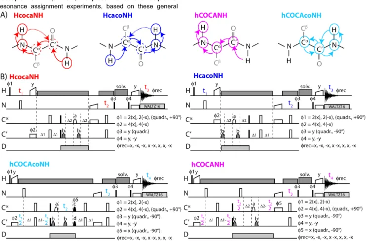 Figure  1. Proton-detected resonance assignment approaches used in this study. (A) Coherence transfer pathways in the four proposed experiments