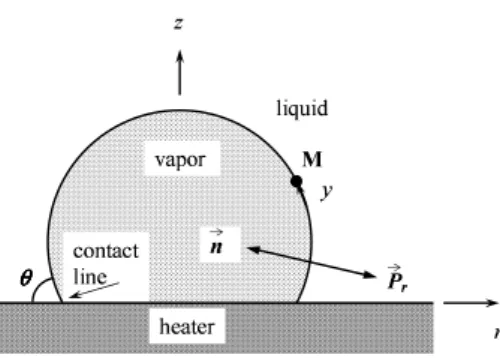 Fig. 1 – Vapor bubble on the heating surface surrounded by liquid. The directions of the vectors P ~ r