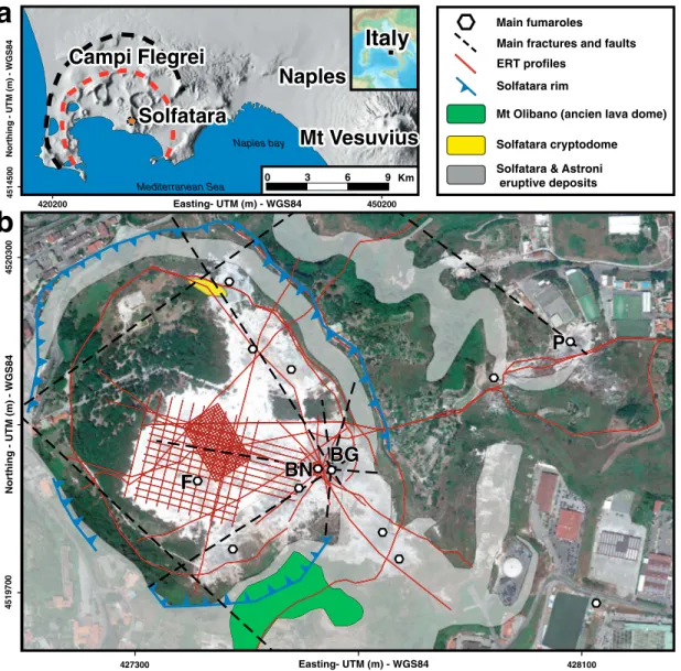 Figure 1. Map of the studied area and location of the ERT pro ﬁ les. (a) The Solfatara crater inside the Campi Flegrei, in the Neapolitan urban area (GIS database from Bechtold et al., 2005)