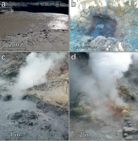 Figure 3. Hydrothermal manifestation at the Solfatara volcano: (a) the Fangaia mud pool, (b) the “ Nuova Fangaia, ” (c) the Pisciarelli fumaroles with mud pool, and (d) the Bocca Grande fumarole
