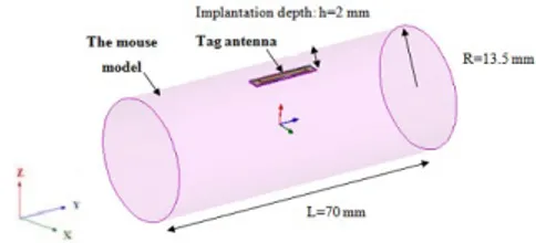 Fig. 3. (a) reflection coefficient and (b) simulated radiation pattern of the implanted antenna.
