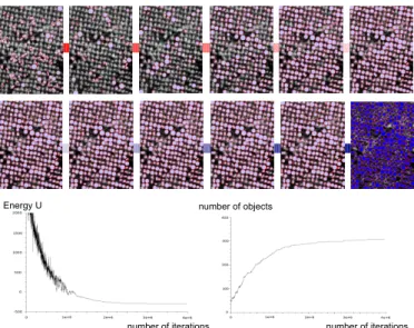 Fig. 6. Tree crown extraction. (the upper row, from left to right) The original aerial image c °IFN, our result, and the result by [10]; (the bottom row) the associated crops.