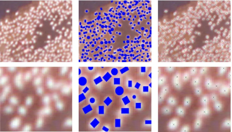 Fig. 8. Bird detection. (the upper row, from left to right) The original aerial image c °Tour du Valat, our result, and ground truth; (the bottom row) the associated crops.