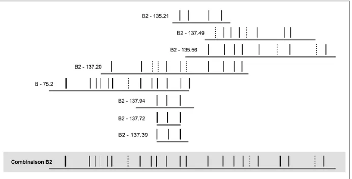 Figure 4. Corrélation des séquences individuelles du niveau B2 et construction de la séquence synthétique  des occupations (combinaison B2)