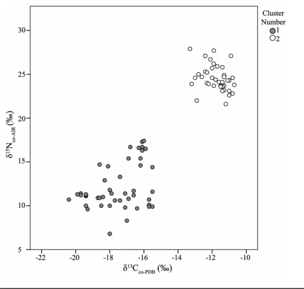 Figure 4. Collagen isotope values (δ 13 C co and δ 15 N co ) of individuals included in sample by cluster