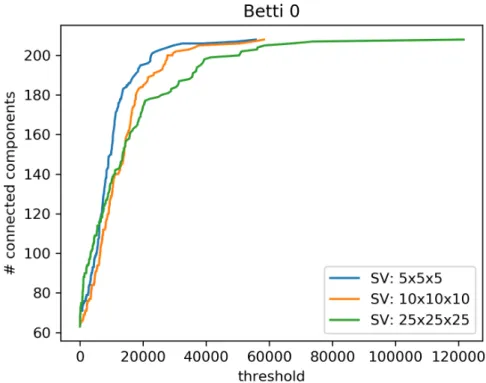 Figure 3: Each line represents the β 0 curve associated to a connectome obtained from data at a specific resolution