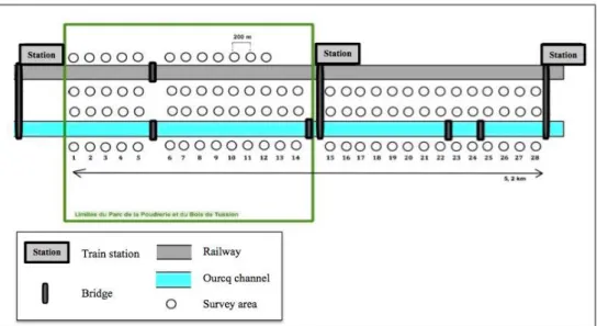 Figure 6 : PBI method explanation schema applied to linear infrastructures edges and forest park.