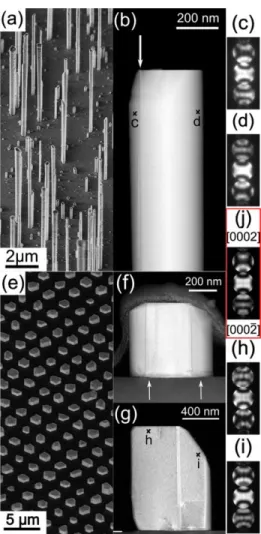 FIG. 1. (Color online) Self-assembled growth (SG) of GaN wires on c-sapphire. (a) 45°- 45°-tilt SEM view and (b) STEM image of a single wire