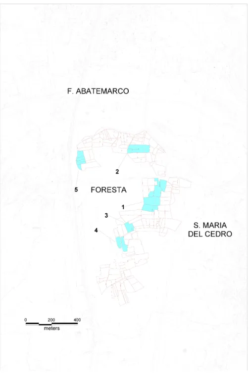 Fig.  4  -  Laos-Marcellina.  Carte  archéologique  du  plateau  de  Foresta  :  UT  prospectées  et concentrations d’artefacts.