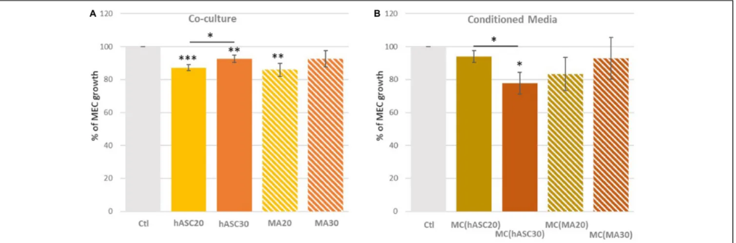 FIGURE 2 | Percentage of myoepithelial cell (MEC) viability when co-cultured with adipose cells from women of different BMI (A) or with their adipose secretome (B).