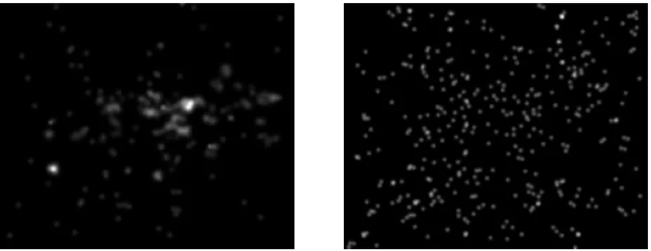 Figure 4.10. Spatial distribution of the mosquito–human and human–mosquito transmissions