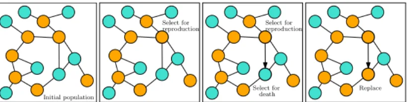 Figure 1: Visual representation of the Moran process (adapted from [LHN05]).