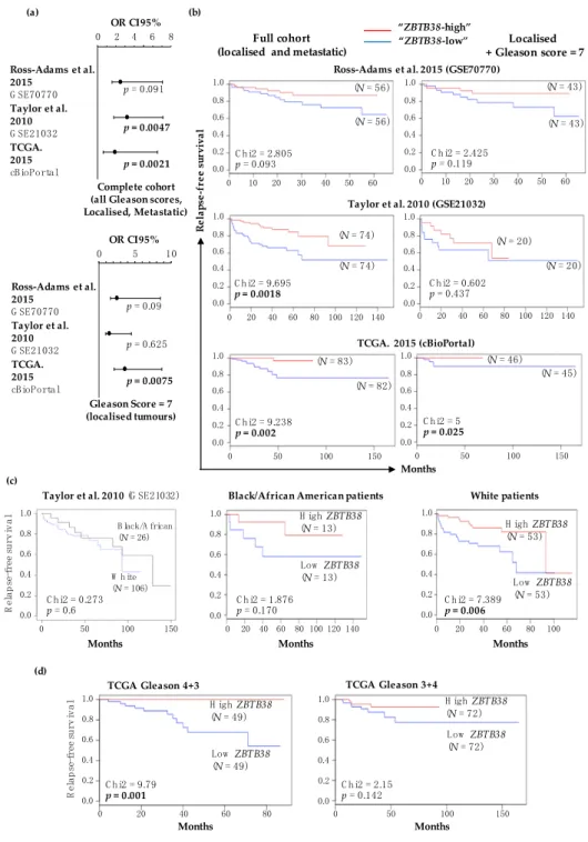 Figure 3. Prognostic significance of ZBTB38 expression in patients with prostate cancer