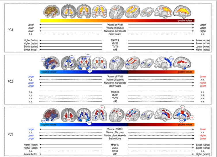 FIGURE 2 | Visual aspect of principal components and their relationships with other MRI markers and clinical scores