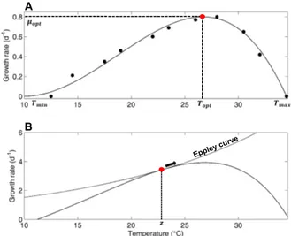 Fig. 1. Thermal growth rate curves using model from Bernard and R´ emond (2012) (A) and from Eppley (1972) (B)